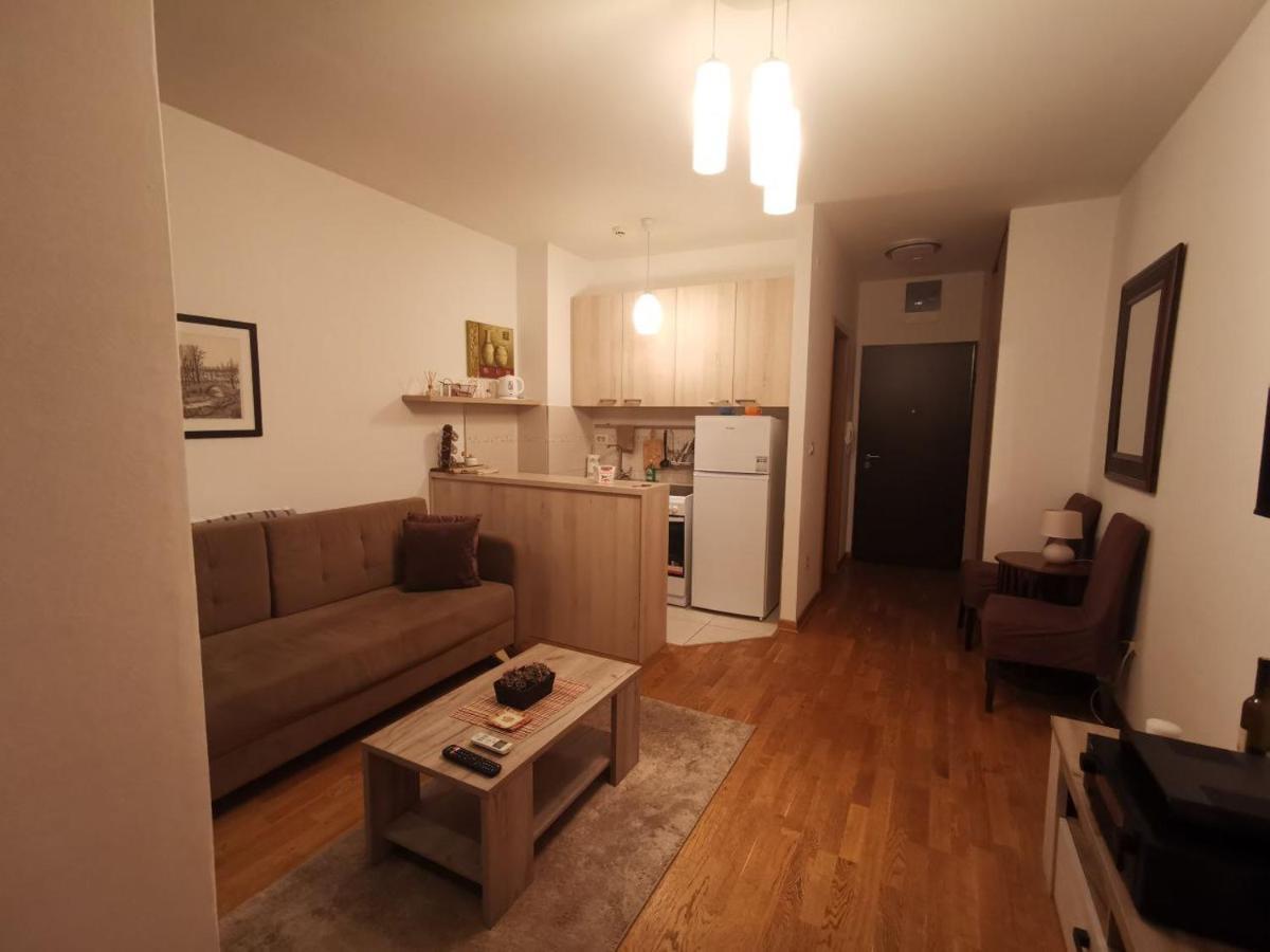 Delta Apartman Podgorica Kültér fotó